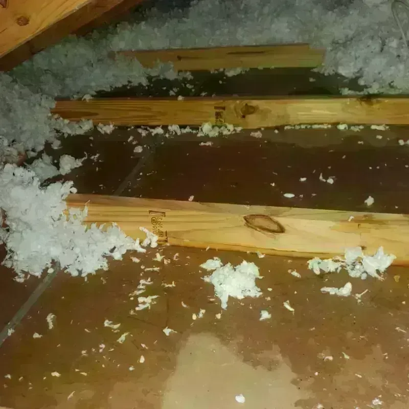 Attic Water Damage in Sonoma, CA