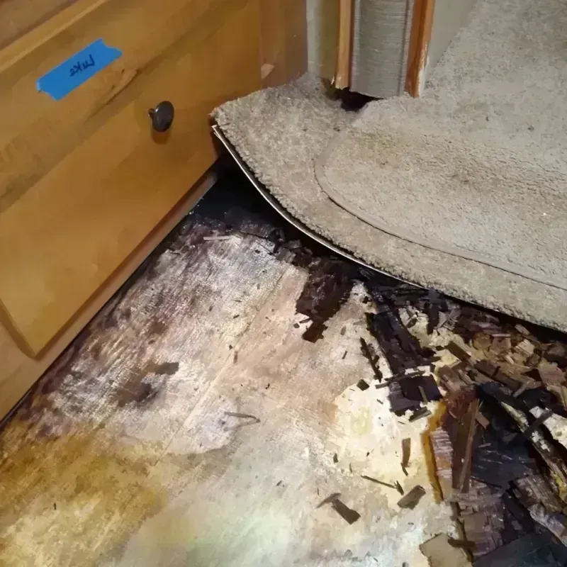 Wood Floor Water Damage in Sonoma, CA